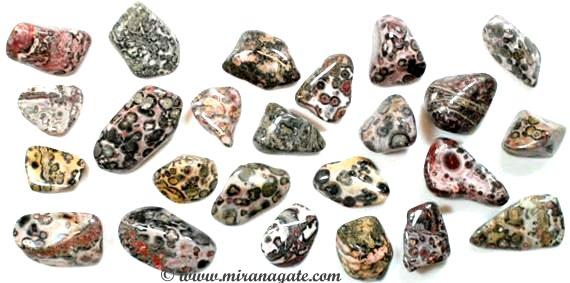 Leopard Skin Jasper Tumbled Manufacturer Supplier Wholesale Exporter Importer Buyer Trader Retailer in Khambhat Gujarat India